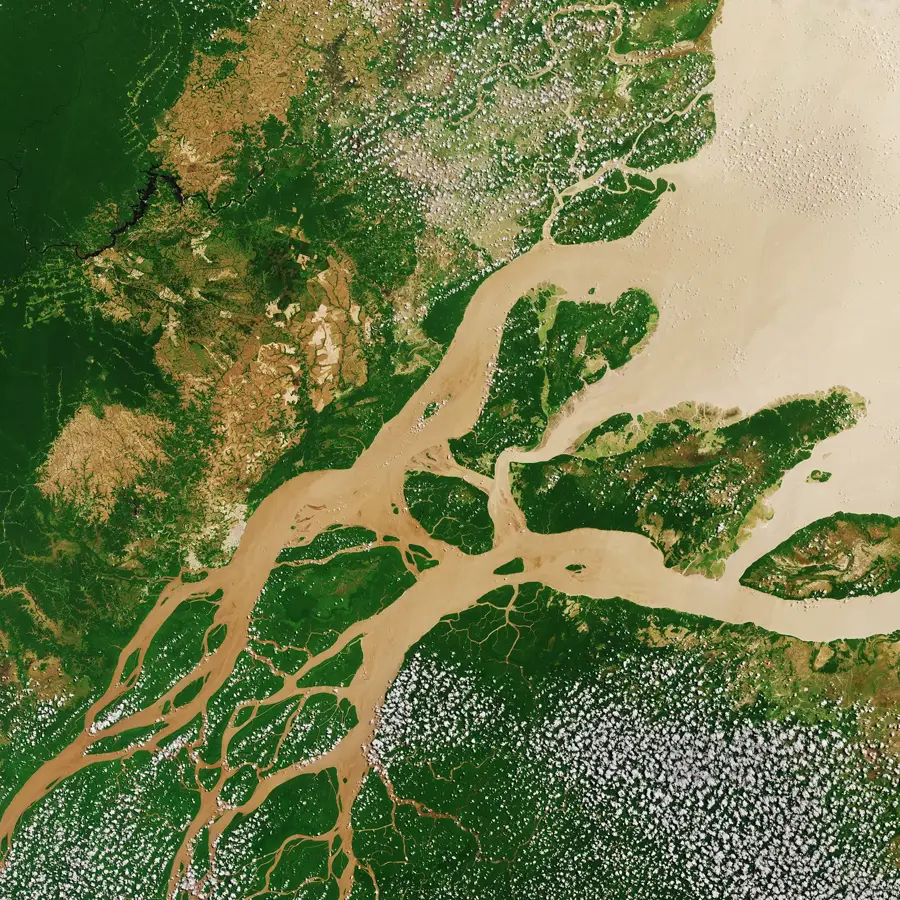 Fluviul Amazon — Râul Putumayo (Peru)