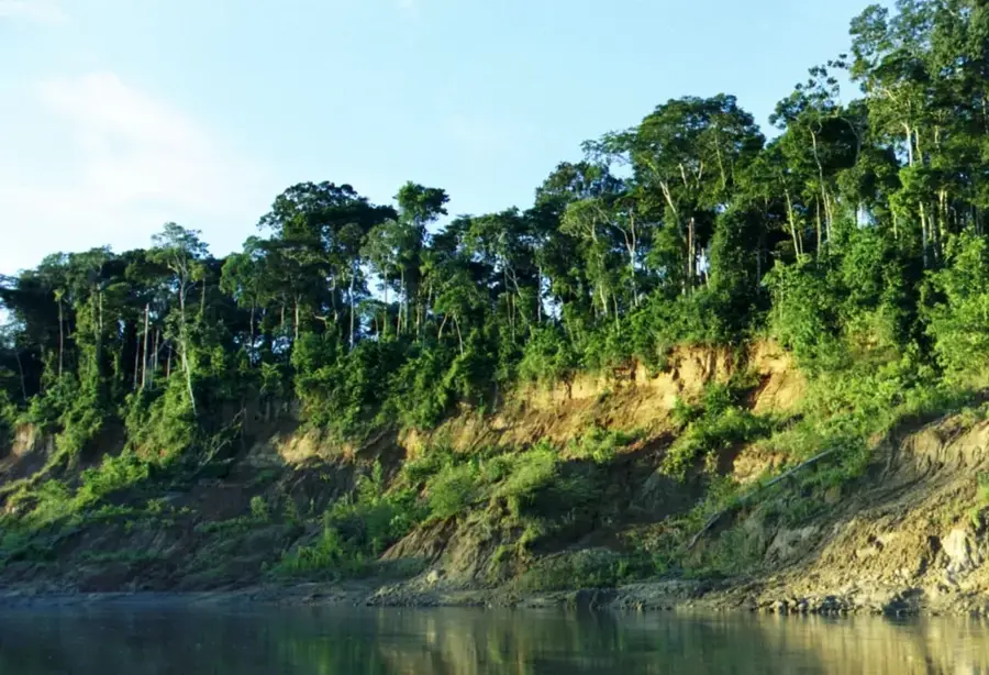 Manu Nemzeti Park — Sandoval-tó (Peru)