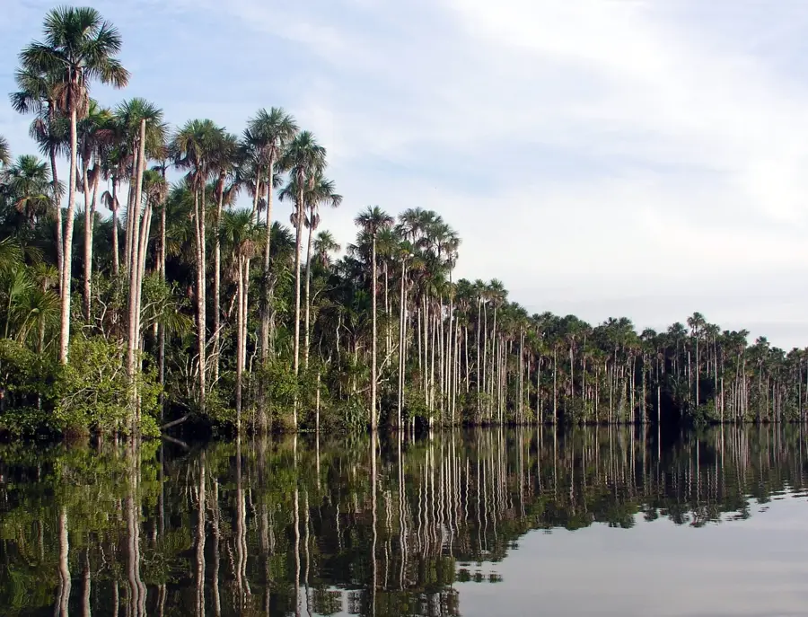 Tambopata Rezervátum — Sandoval-tó (Peru)