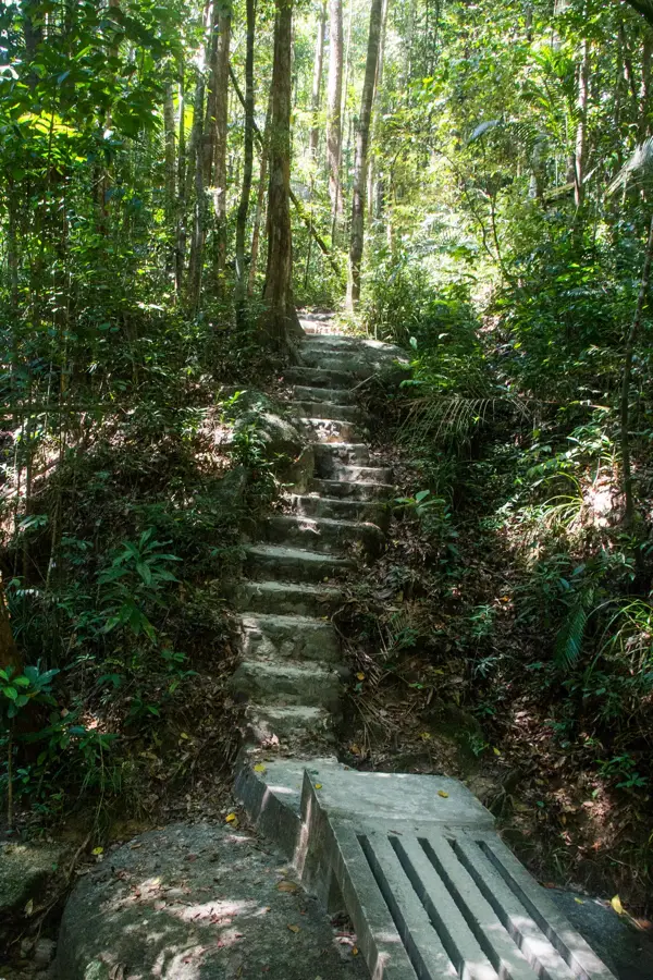 Penang National Park