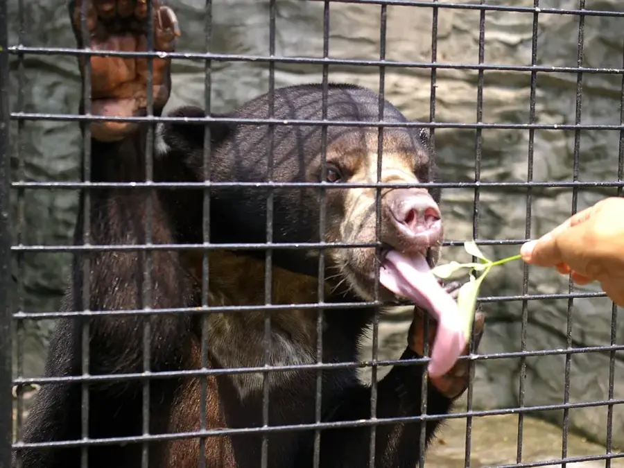 Avilon Zoo