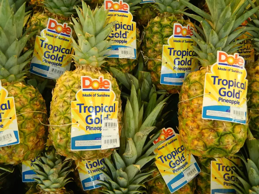 Plantația de ananas Dole — Hidrocentrala Agus VI (Filipine)