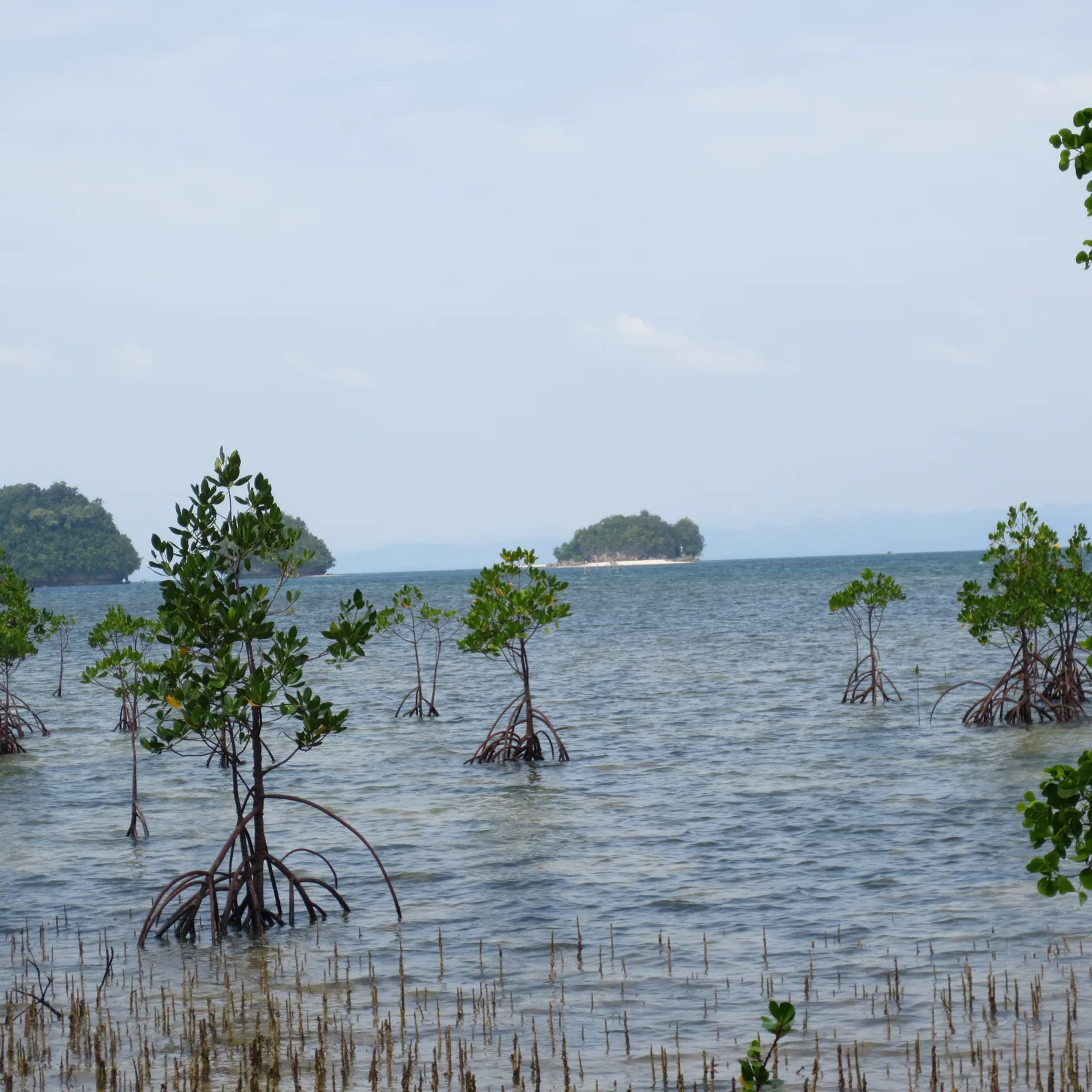 Britania — Saint Christine (Philippinen)