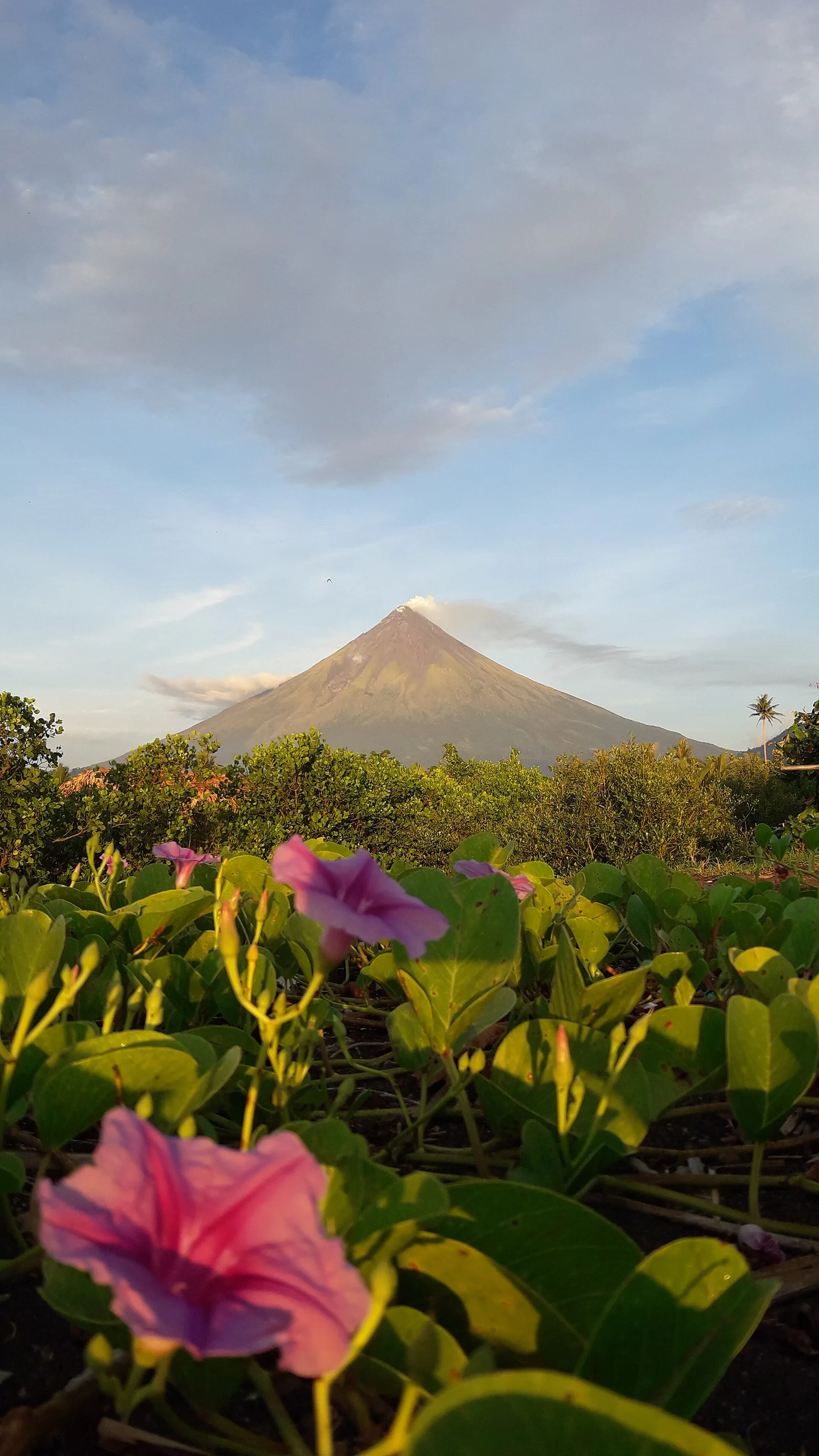 Panarayon — Ilawod (Philippinen)