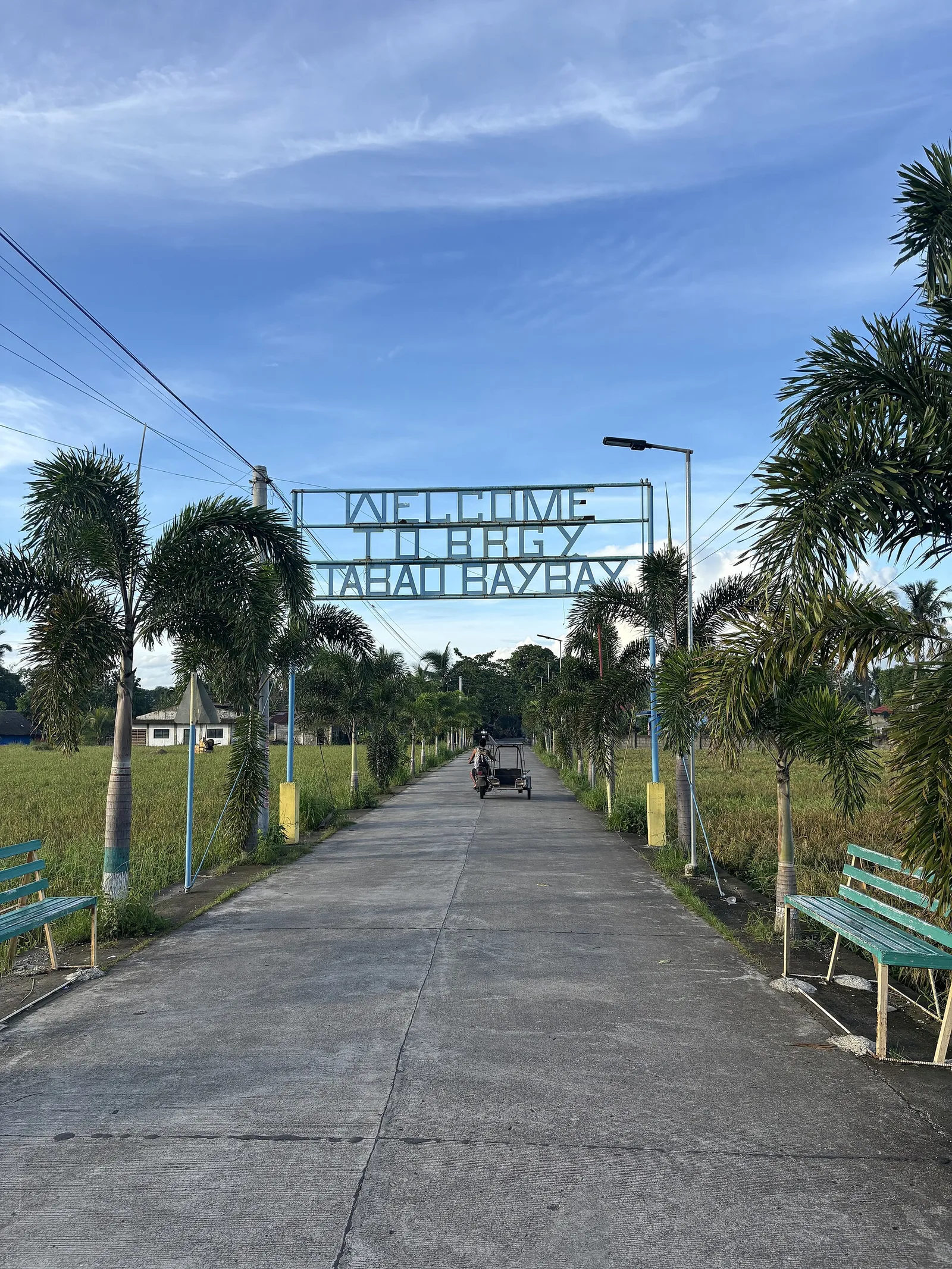 Tabao Baybay — Mount Kanlaon (Philippines)