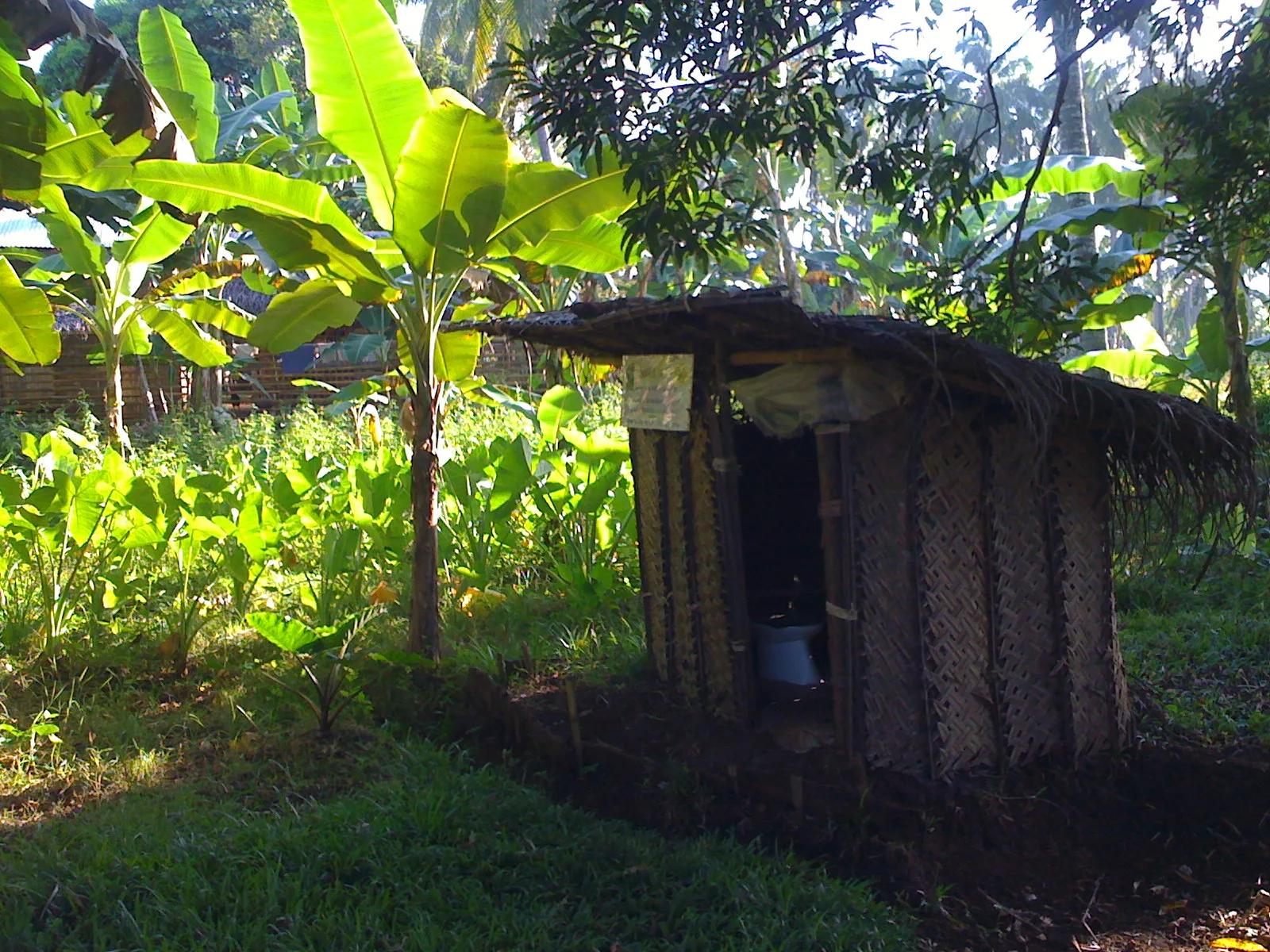 Tubigan