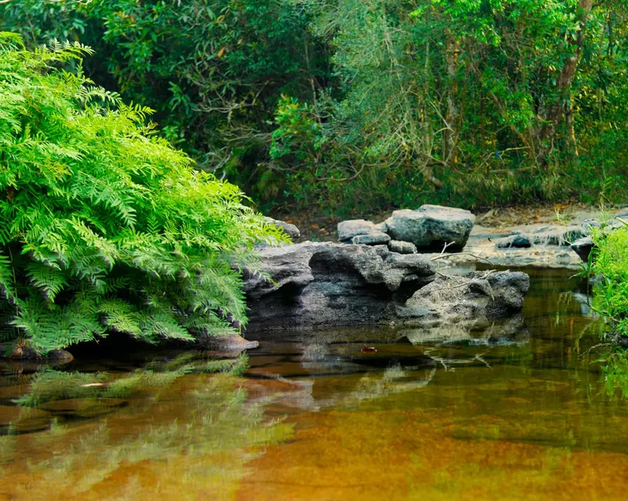 Phou Khao Khouay Nationalpark