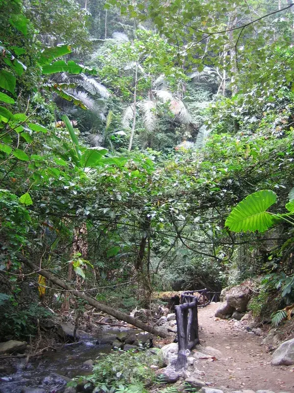 Tierwelt im Phu Chong Na Yoi NP — Prey Lang Wald (Kambodscha)