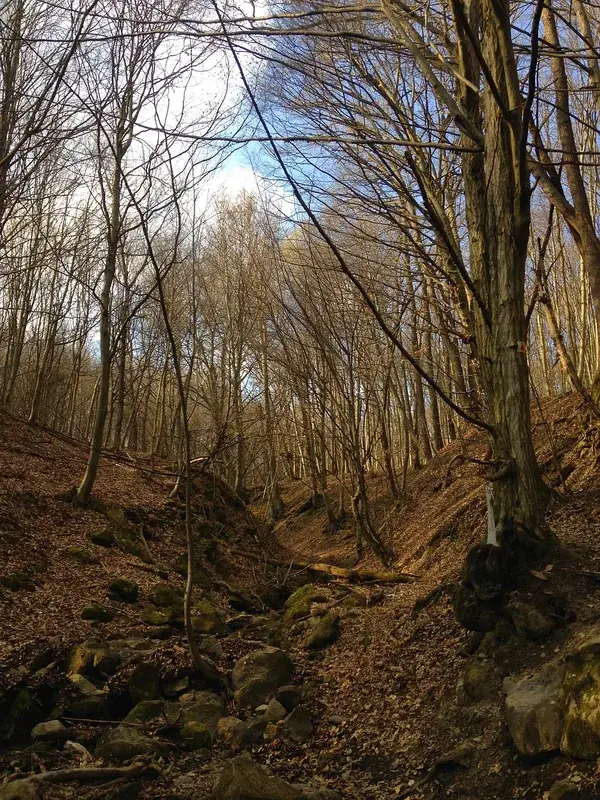 Pilis-Gebirge — Monor (Ungarn)