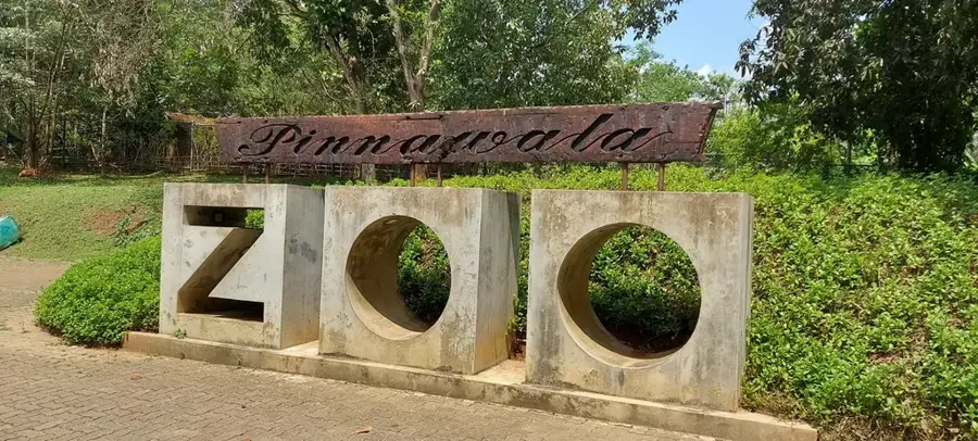 Grădina Zoologică în Aer Liber Pinnawala — Talpe (Sri Lanka)