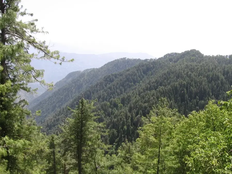 Ayubia Nemzeti Park