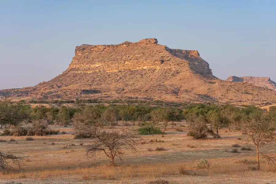 Parcul Național Kirthar — Arbian (Pakistan)