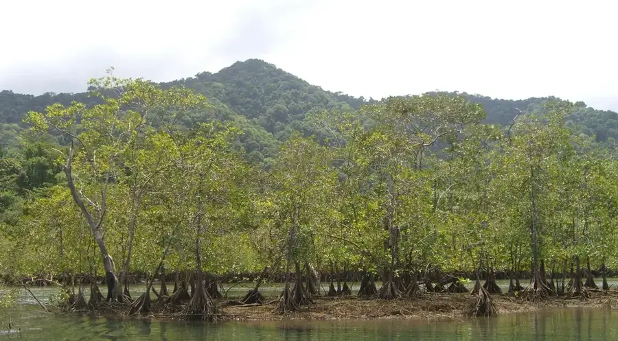 PN Utría