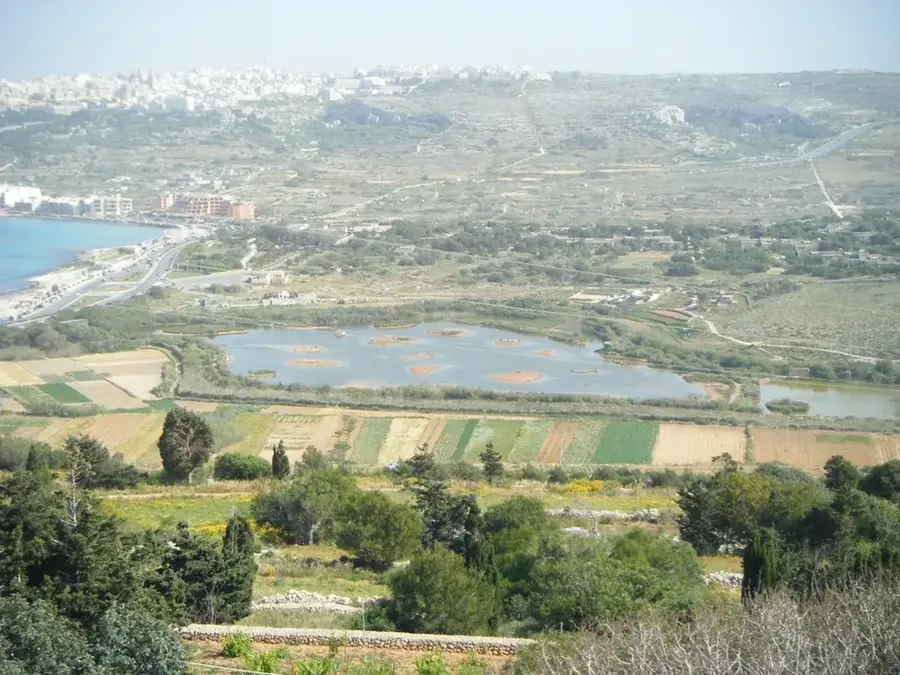 Rezervația Naturală Għadira