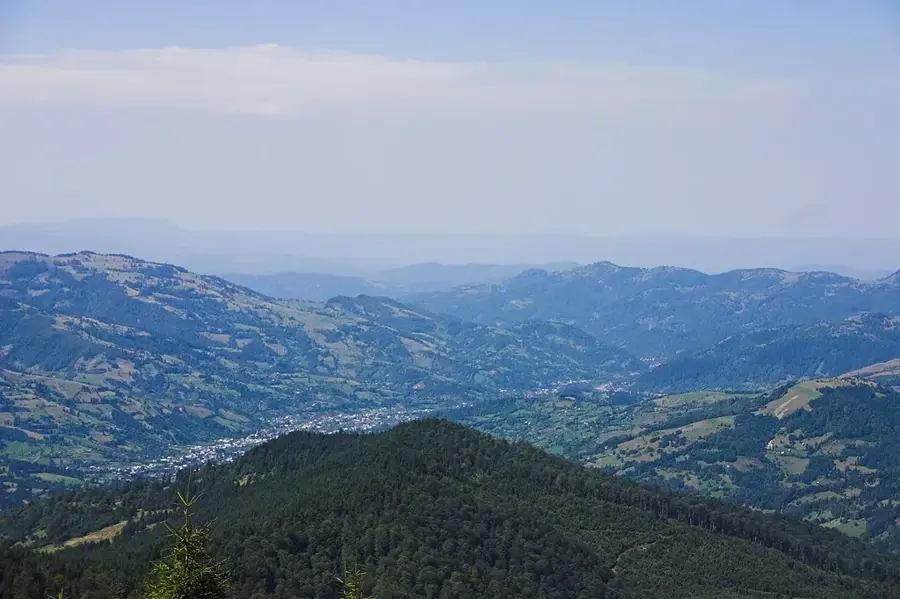 Poienile de sub Munte – Stadt
