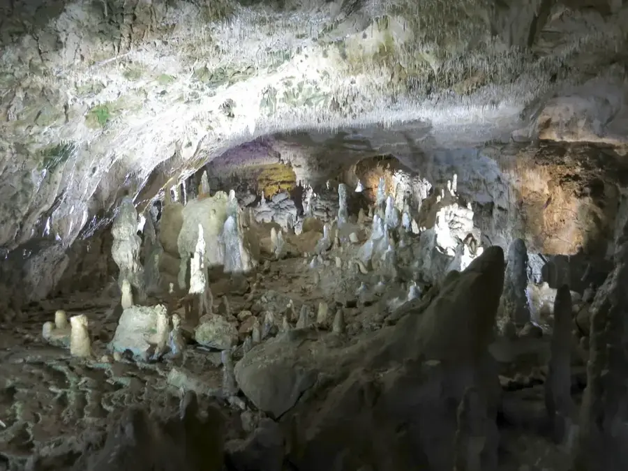 Bear Cave