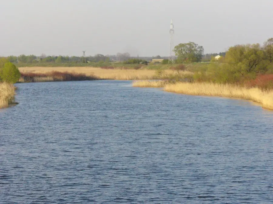 Biebrza Marshes