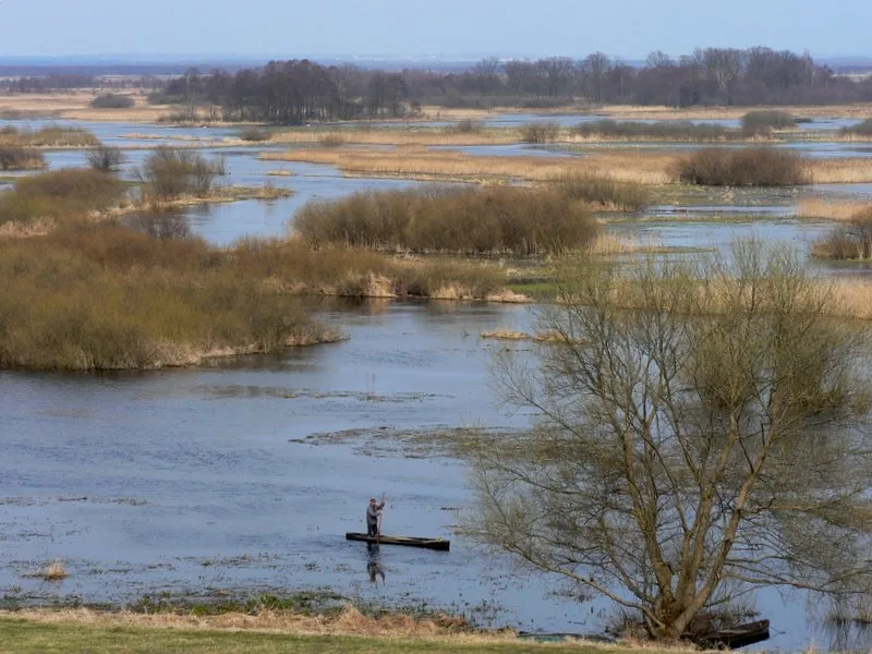 Biebrza National Park