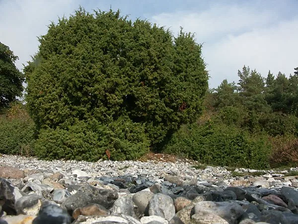 Krzemionki Flint Mines