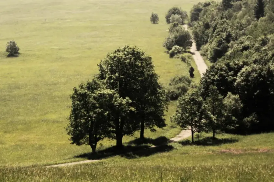 Nationalpark Magura
