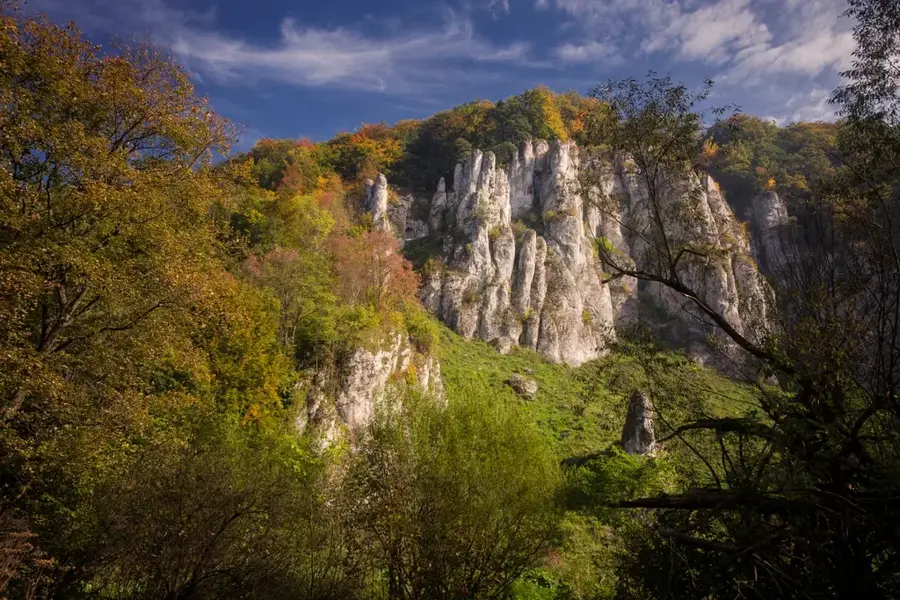 Ojcówi Nemzeti Park
