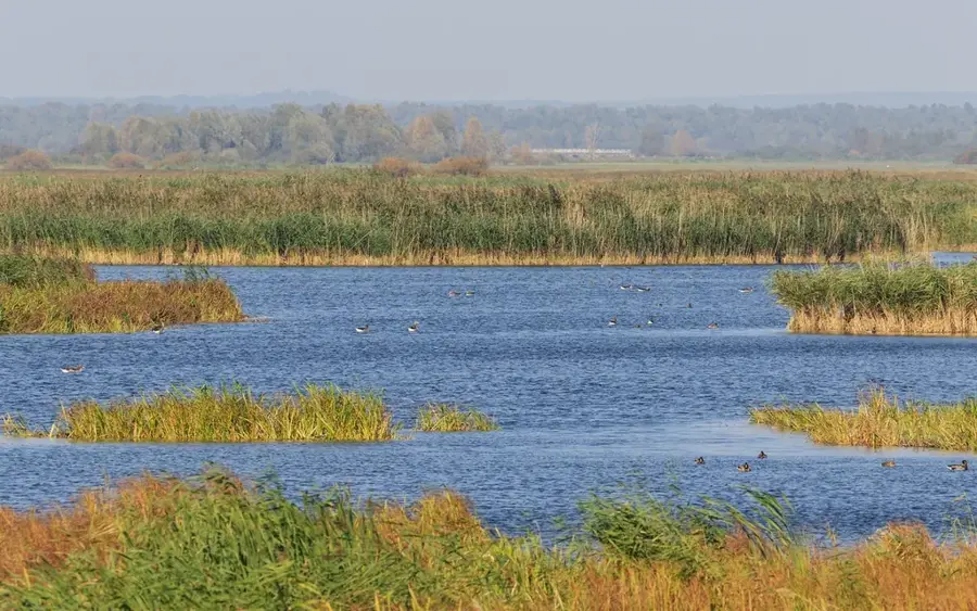 Ujście Warty National Park