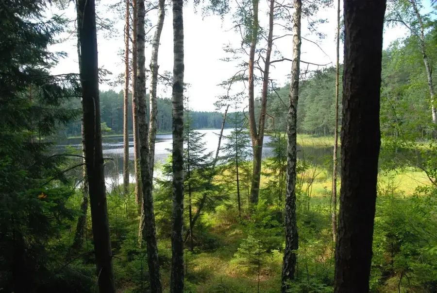 Wigry National Park