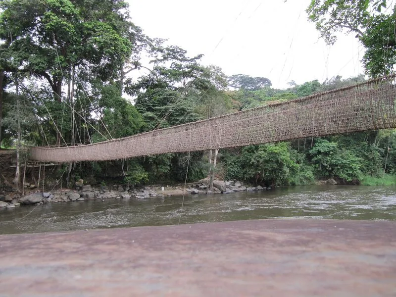 Bridge of Vines of Poubara
