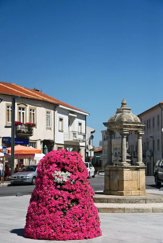 Mogadouro