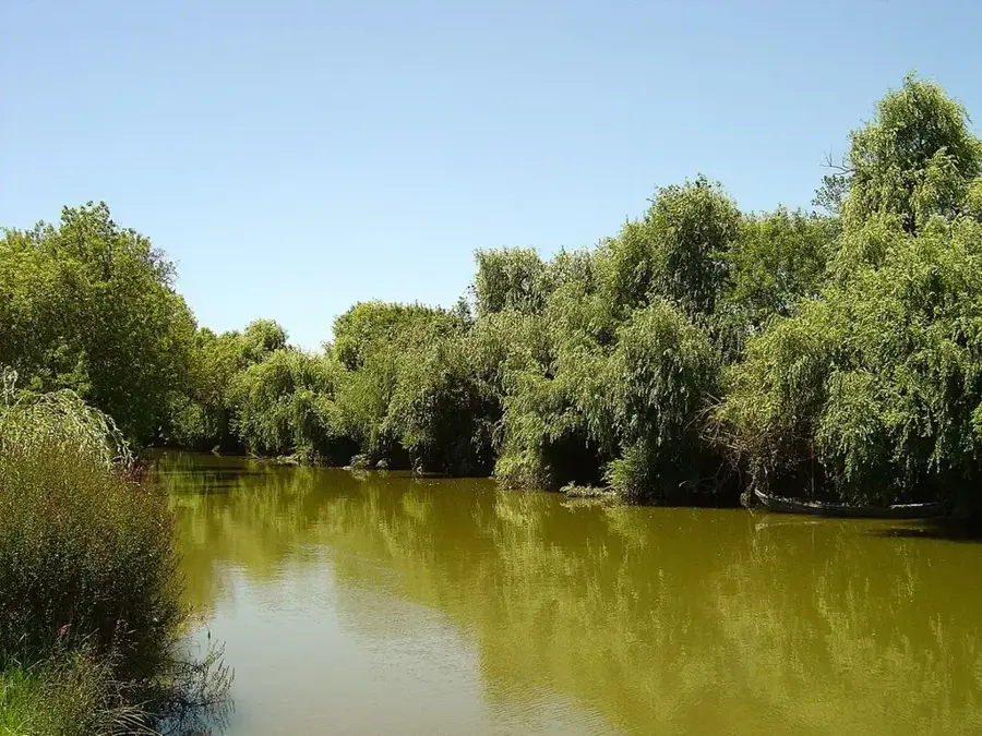 Tejo Estuary Nature Reserve — Montejunto Range (Portugal)