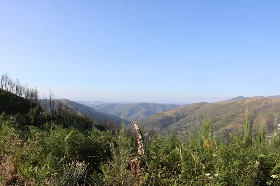 Serra do Açor