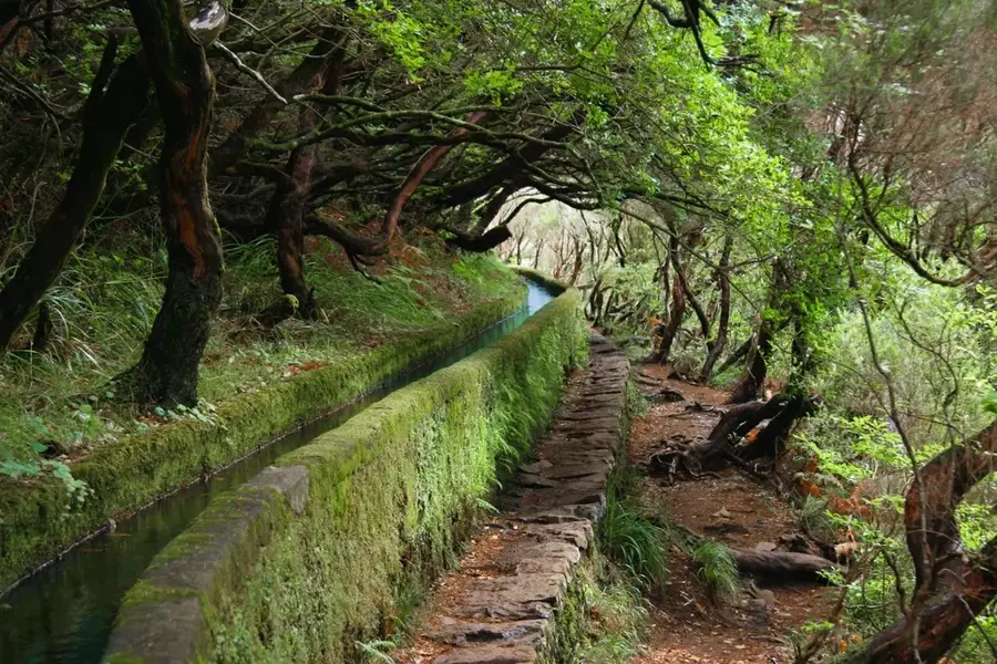 Serra do Caldeirão Ost — Insula Culatra (Portugalia)