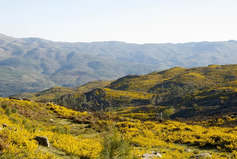 Serra do Gerês