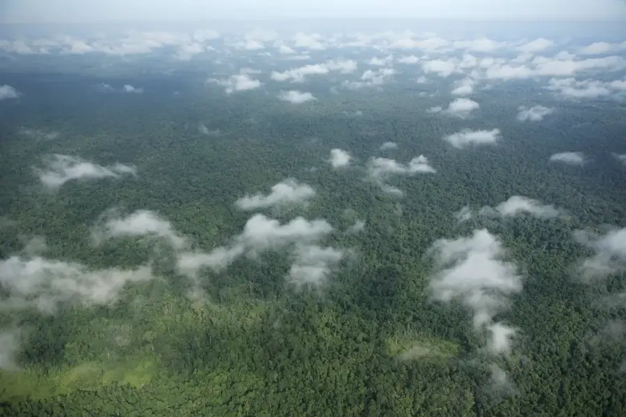 Prey Lang Forest