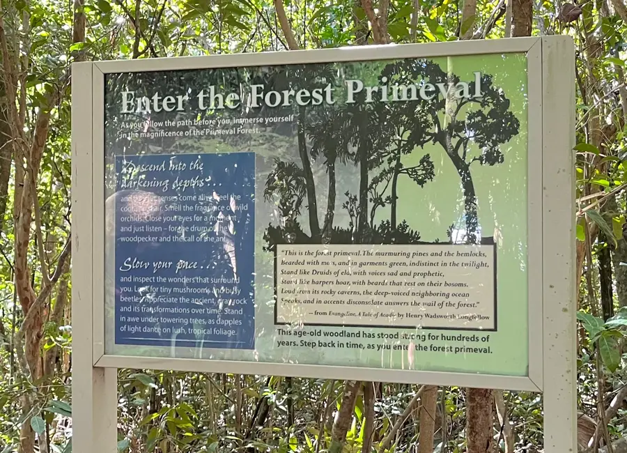 Primeval Forest National Park — Compass Point Studios (Bahamas)