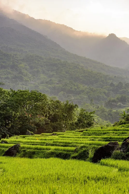 Pù Luông Nature Reserve