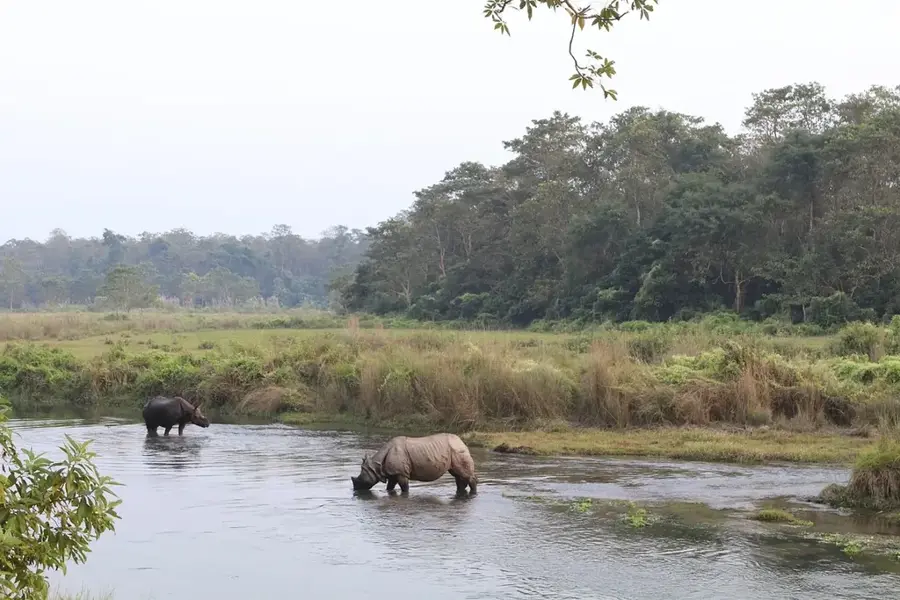Punta Izopo Nemzeti Park