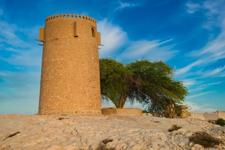 Al Thakira Mangroves — Al Bayt Stadium (Qatar)