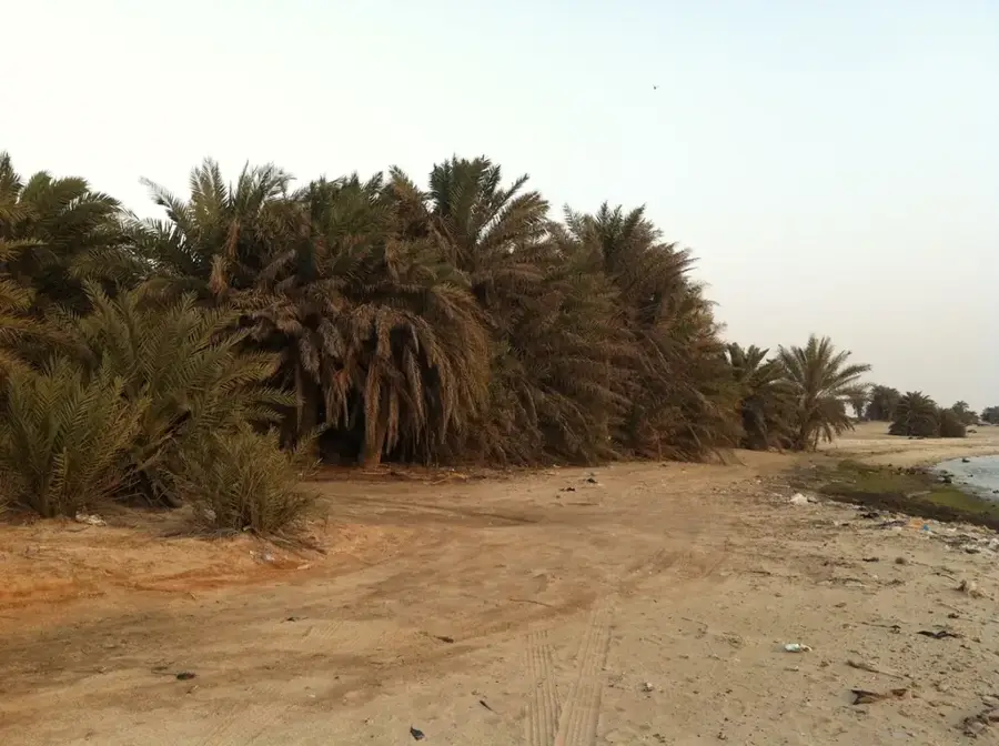 Umm Bab — Dukhan (Qatar)