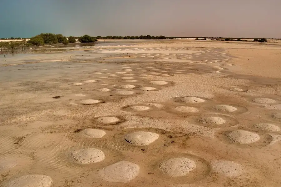 Umm Tais National Park — North Field (Qatar)
