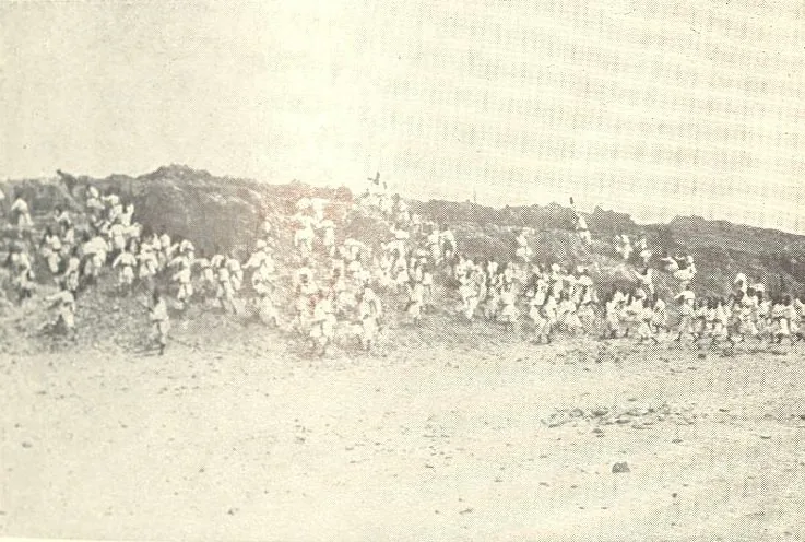 Qaminis