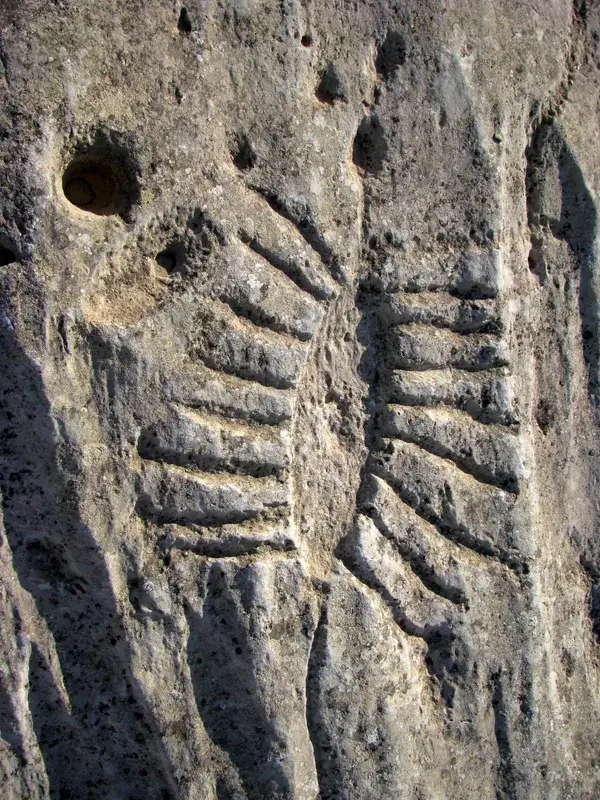 Al Jassasiya Rock Carvings — North Field (Qatar)