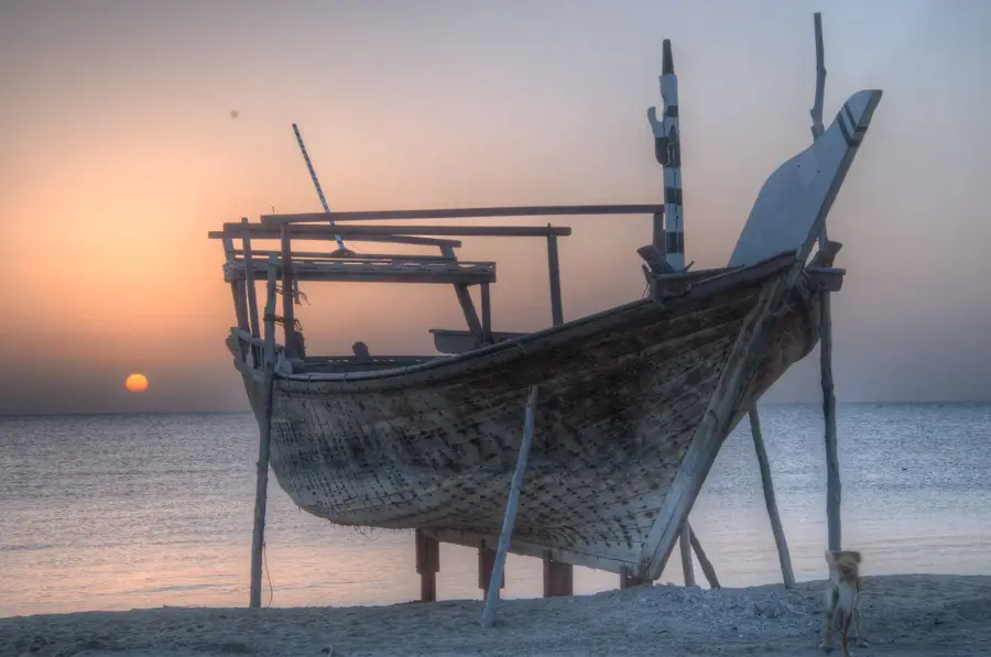 Al Wakrah Public Garden