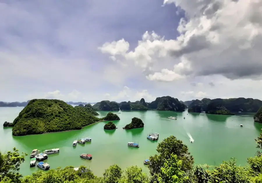 Bazinul Carbonifer Quảng Ninh