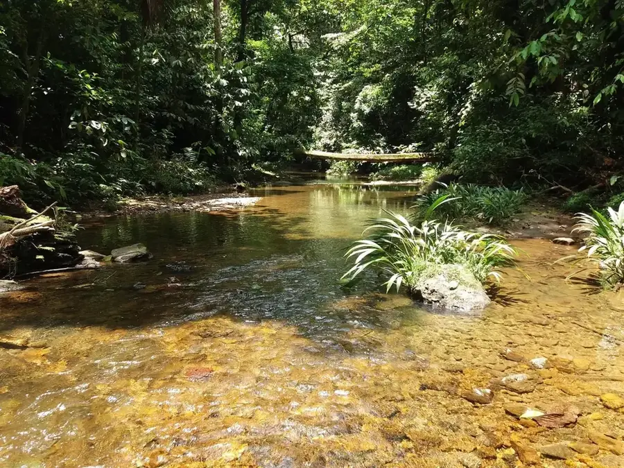 Quinindé — Atacames (Ecuador)