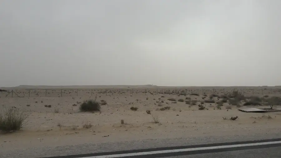 Qurayn Abu al Bawl