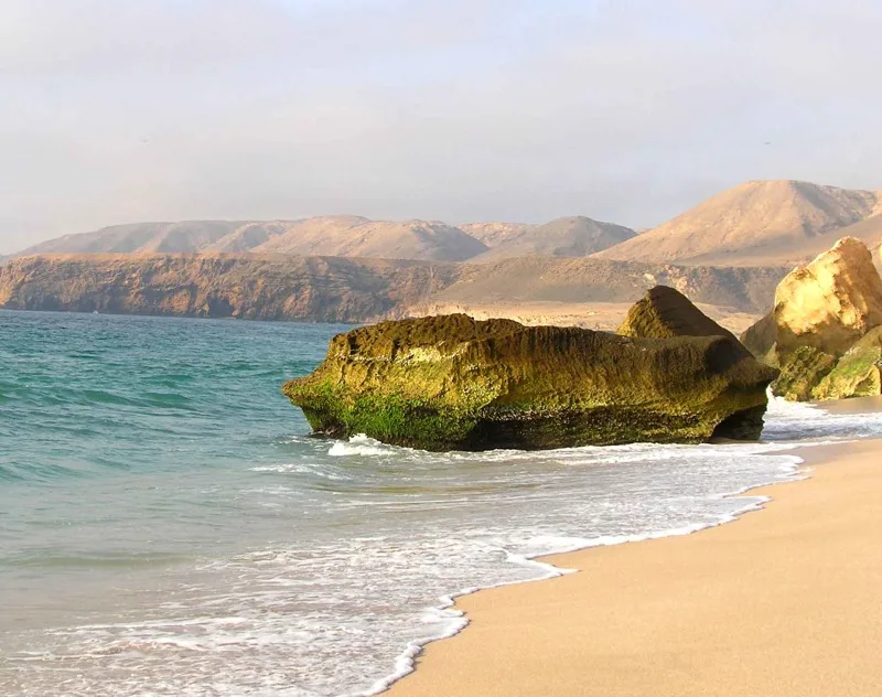 Ras Al Jinz Turtle Reserve — Oman LNG Plant (Oman)