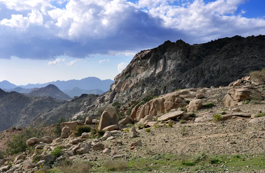 Raydah Escarpment Reserve — Abha (Saudi Arabia)