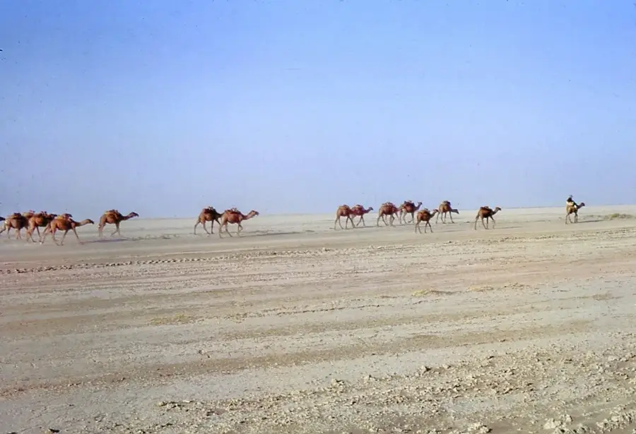 Registan Desert
