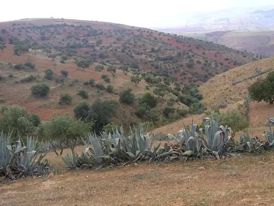 Relizane — Baringosee (Kenia)